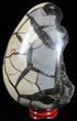Septarian Dragon Egg Geode - Black Crystals #57398-1